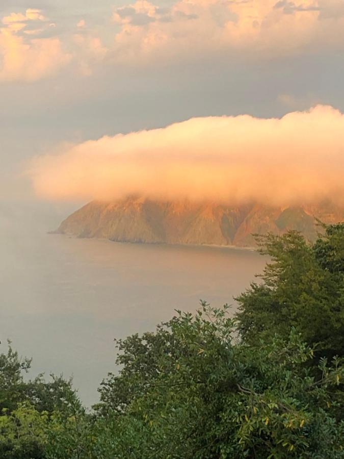 Seawood House Boutique Hotel Lynton Εξωτερικό φωτογραφία